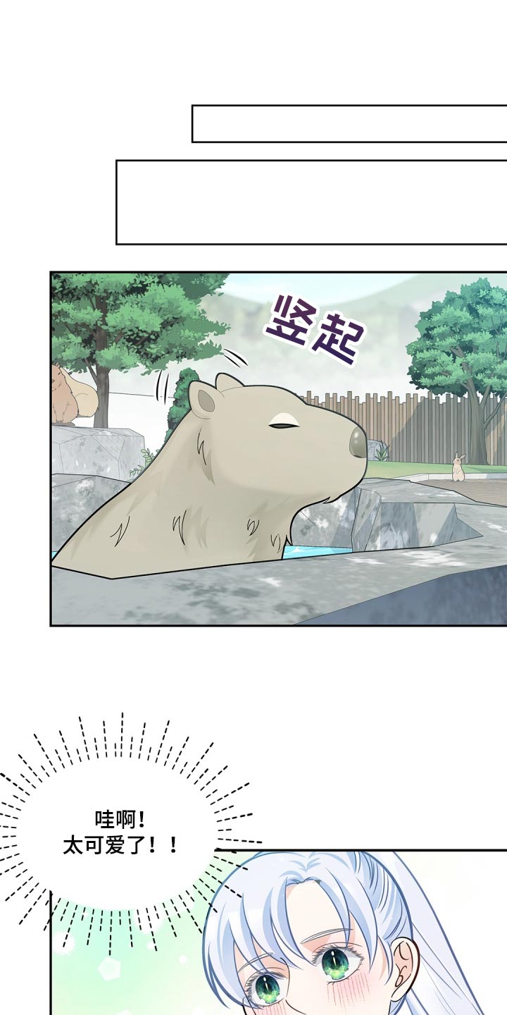 第31章：消失了12