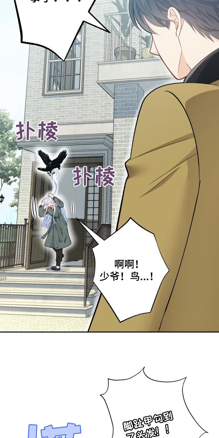 第84章：【第二季】受伤6