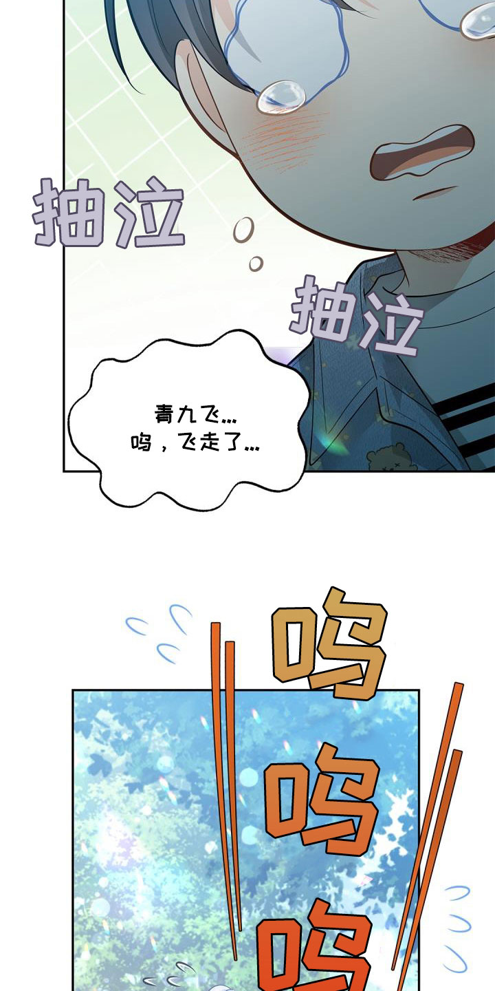第86章：【第二季】飞走的鸟21