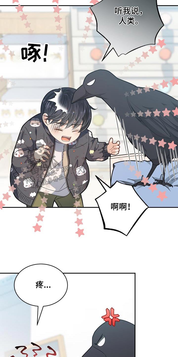 第70章：【第二季】说话的鸟20