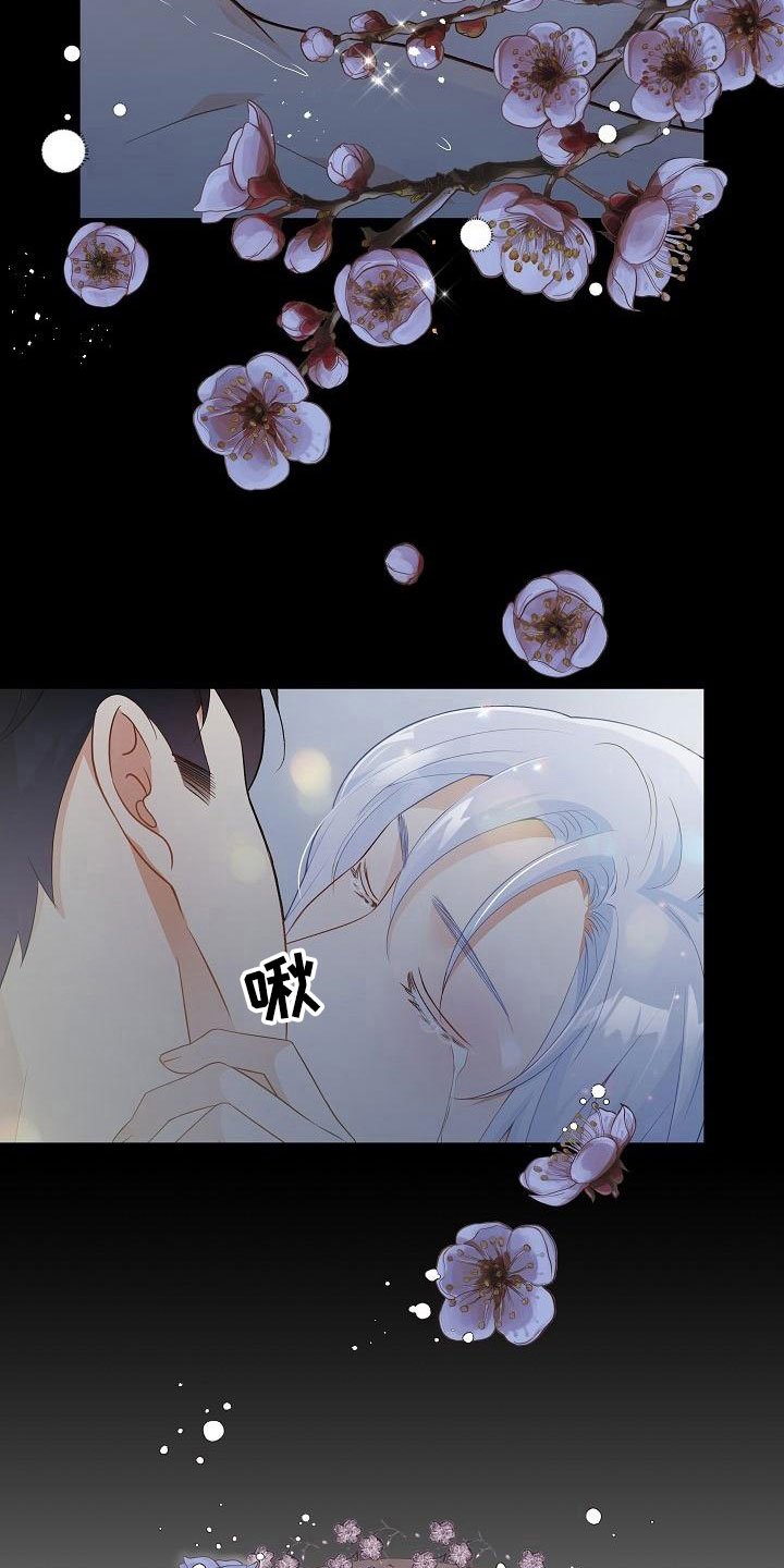 第1章：奇妙的世界5