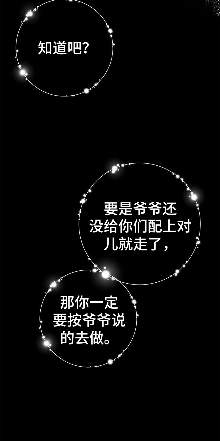 第3章：伴侣17