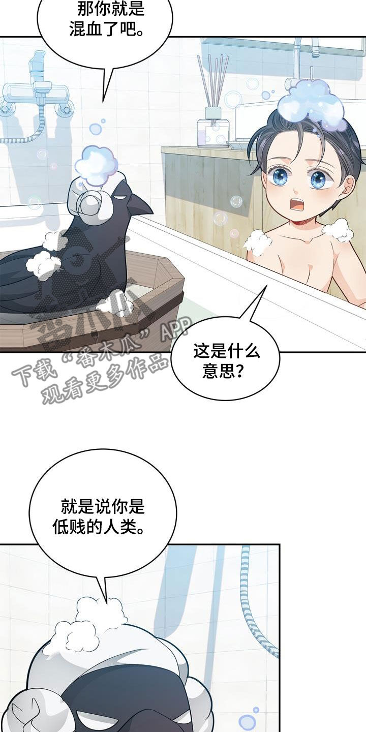 第73章：【第二季】朋友2
