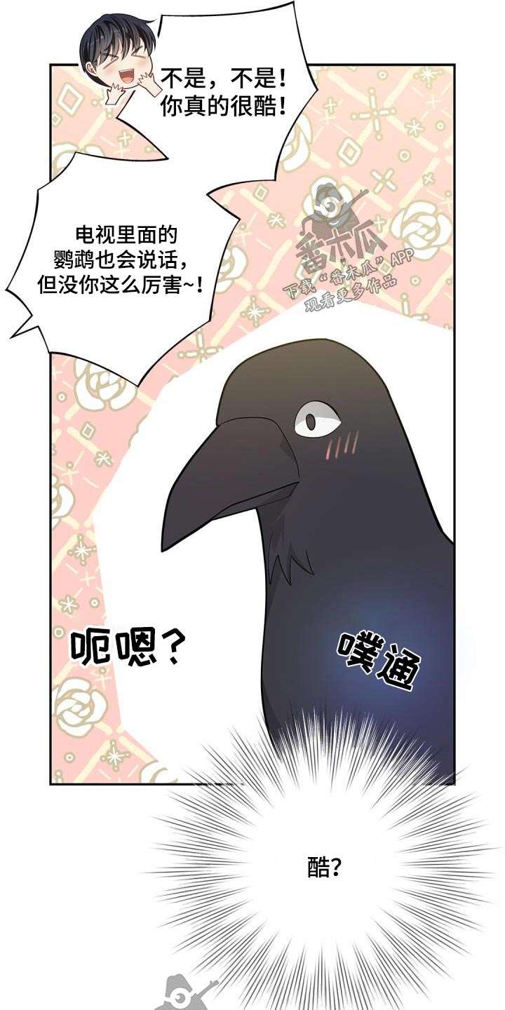第70章：【第二季】说话的鸟23