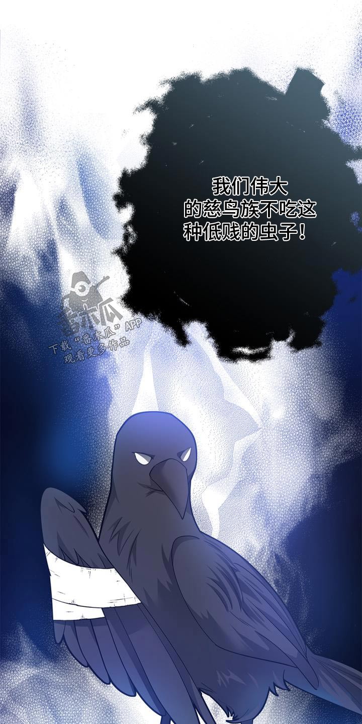 第70章：【第二季】说话的鸟16
