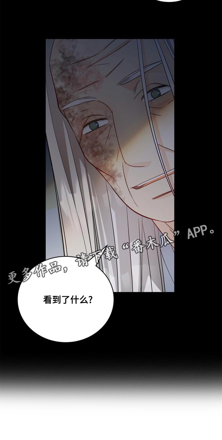 第46章：看到了什么25