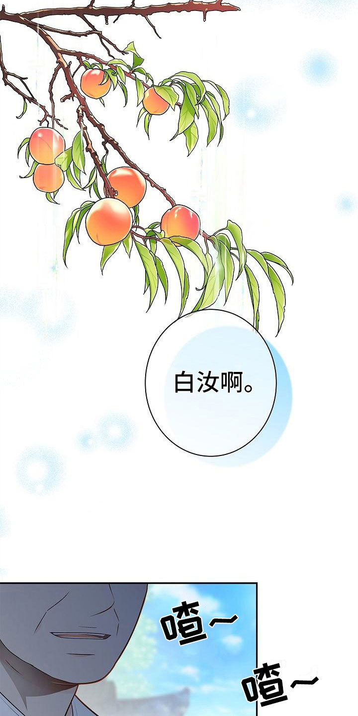 第3章：伴侣13