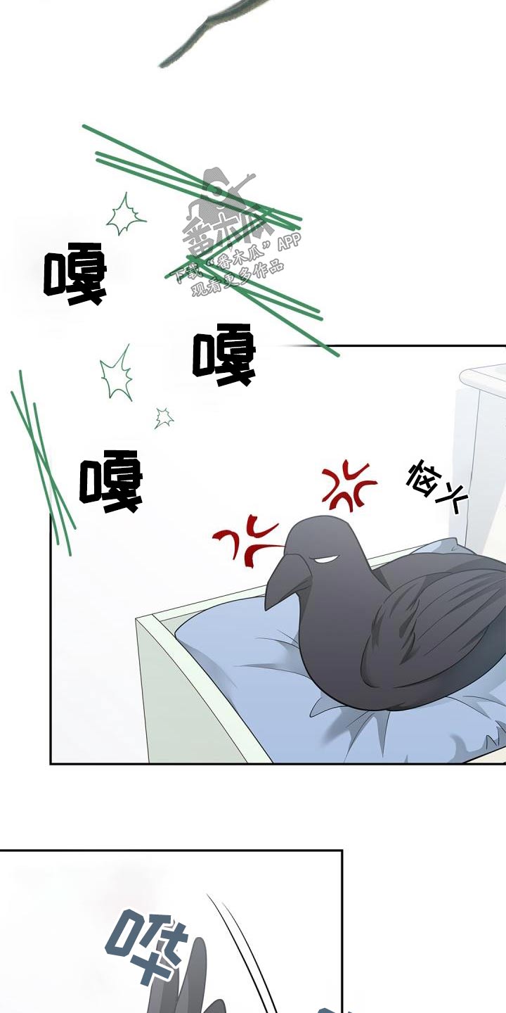 第70章：【第二季】说话的鸟5