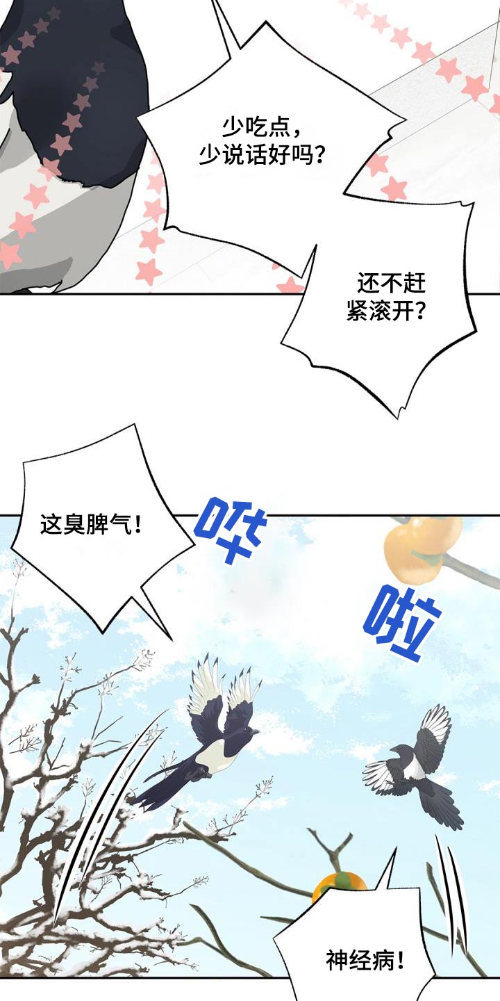 第70章：【第二季】说话的鸟7