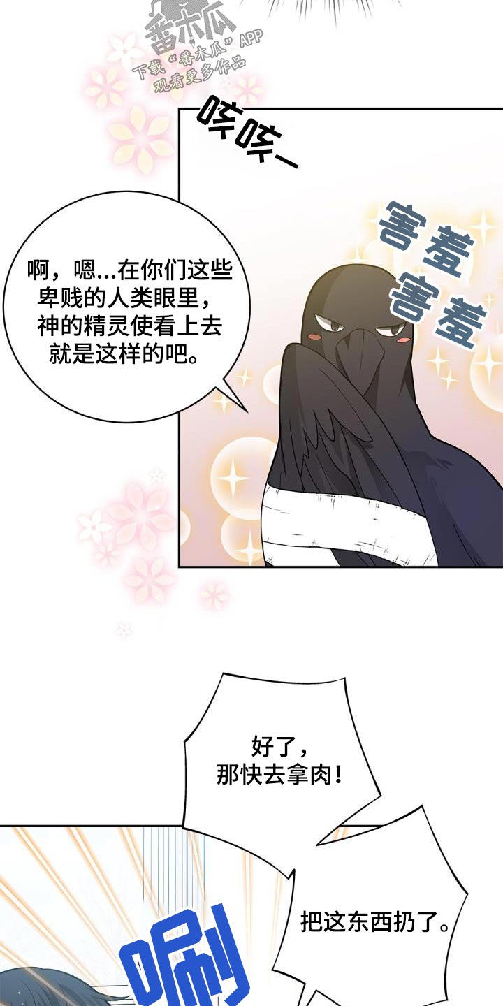 第70章：【第二季】说话的鸟24
