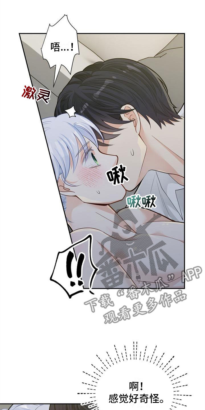 第18章：单纯19