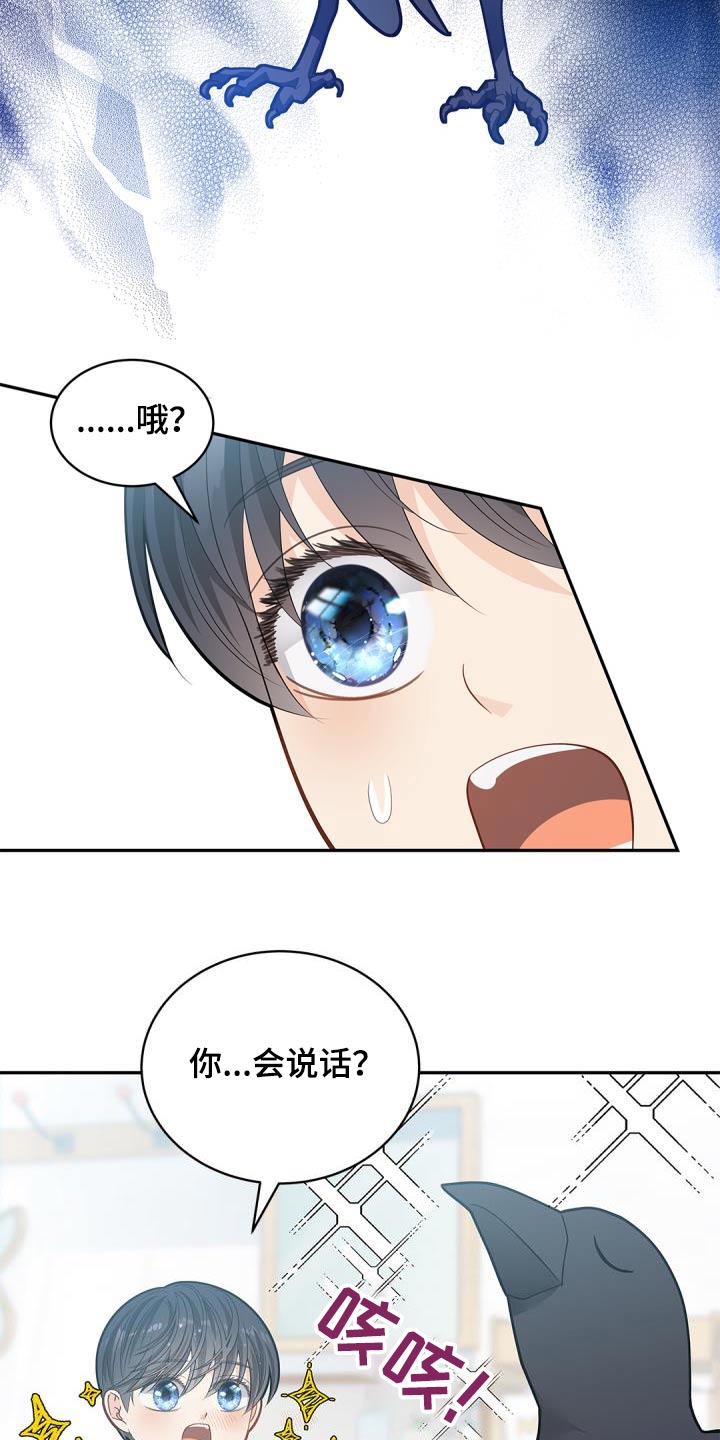 第70章：【第二季】说话的鸟17