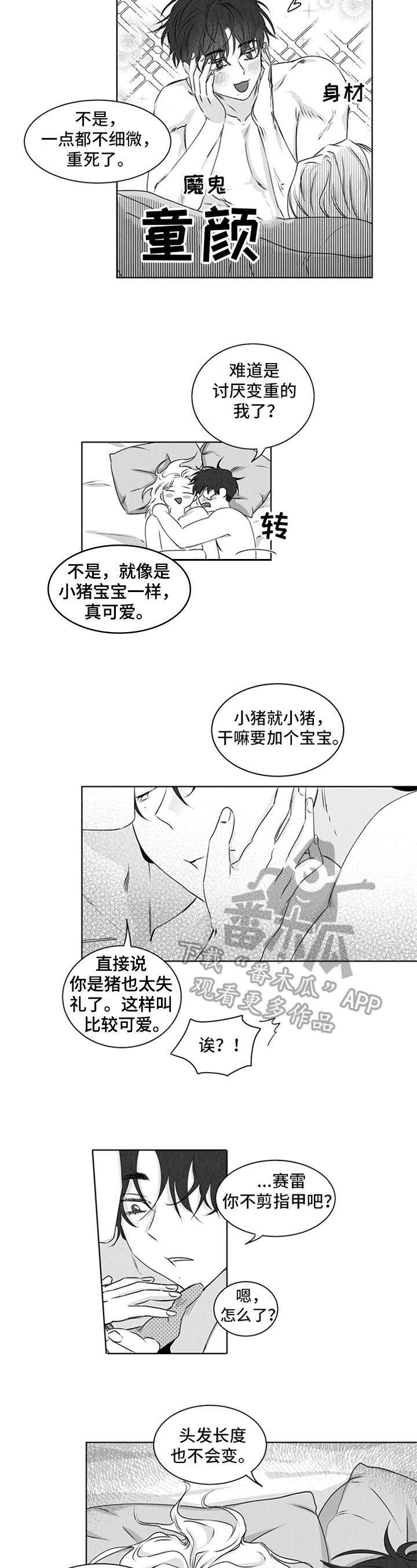 第12章：表达6