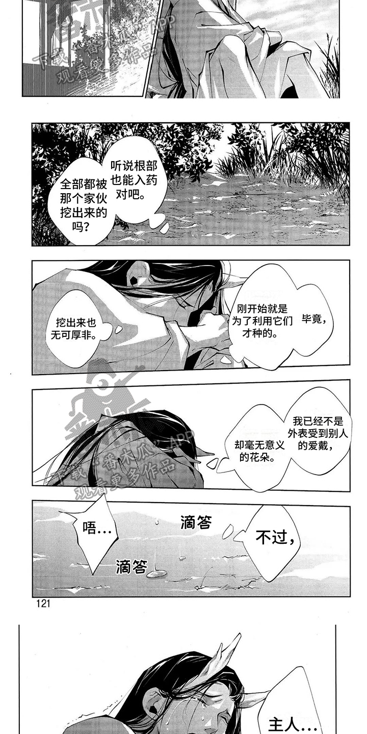 第13章：思虑2
