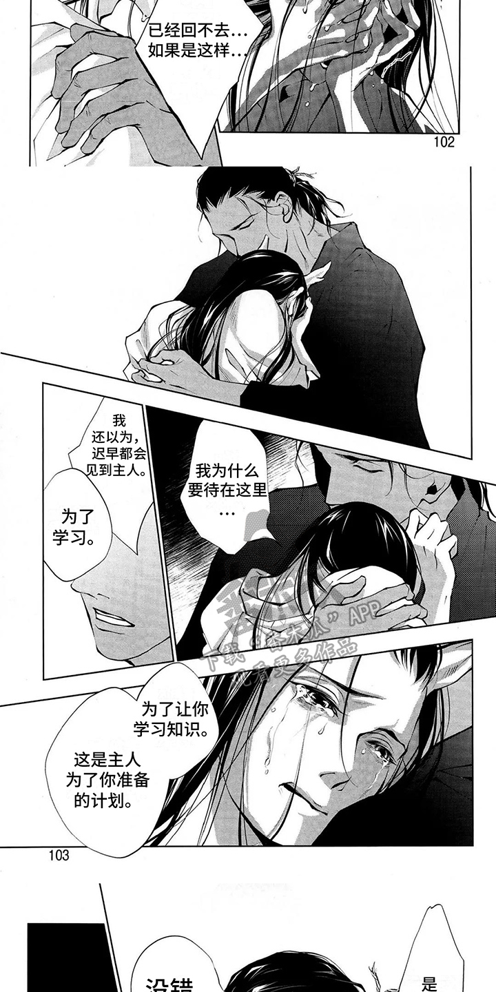 第11章：想法2