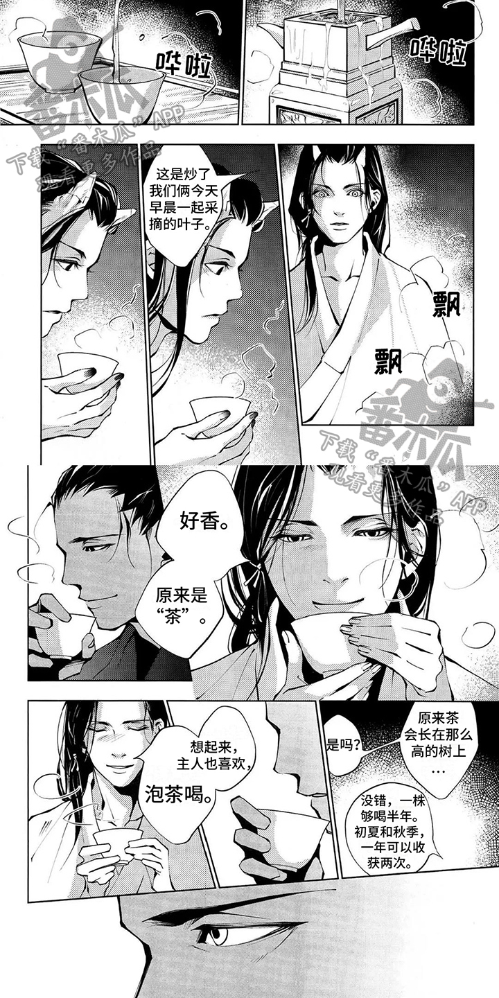 第5章：泡茶2