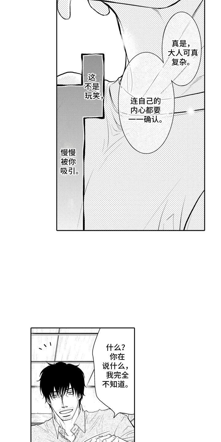 第17章：审视11