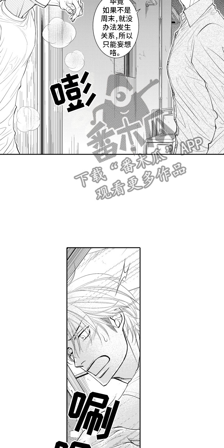 第17章：审视3
