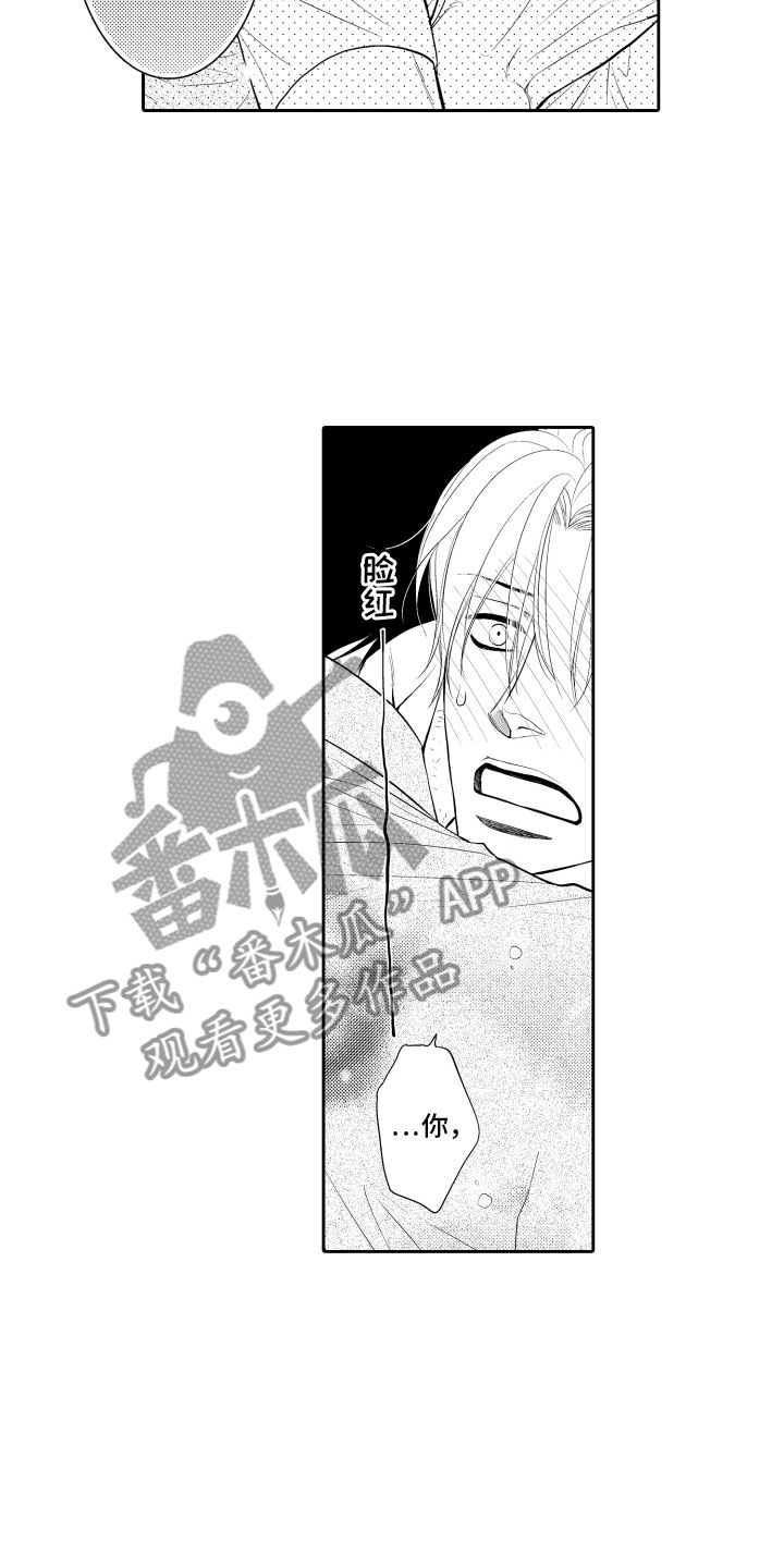第17章：审视5