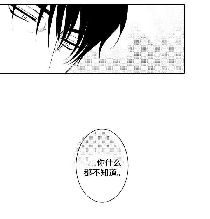 第17章：审视19