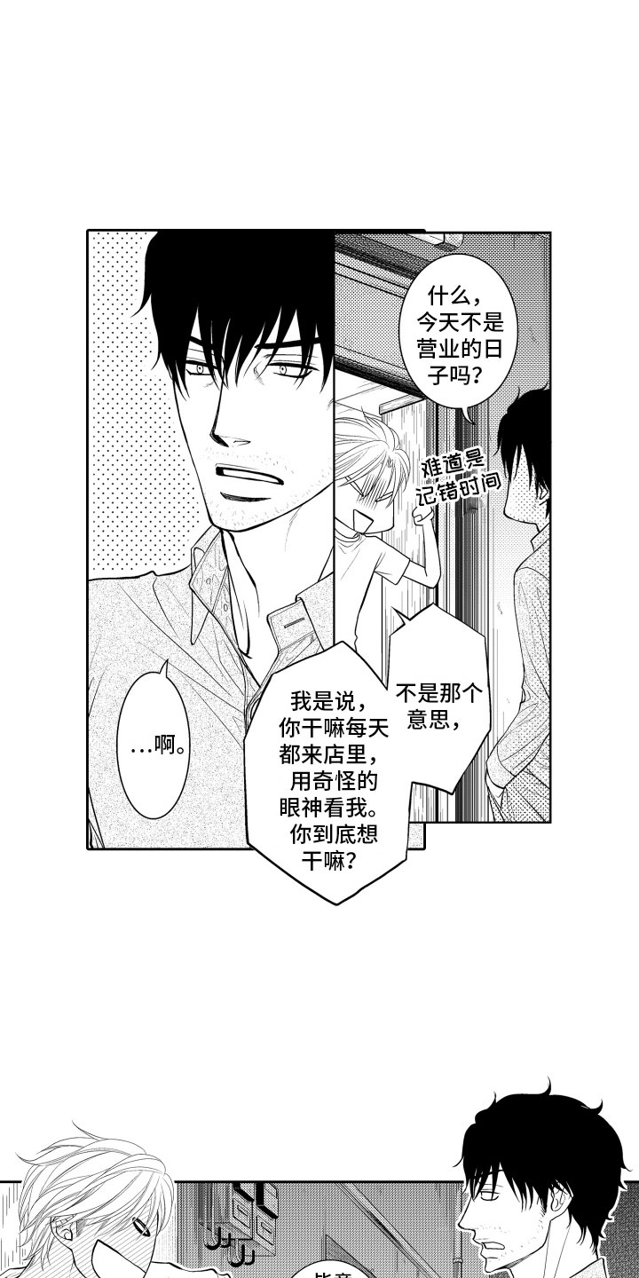 第17章：审视2
