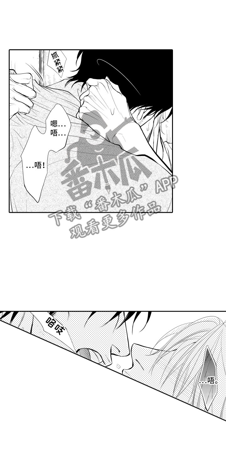 第17章：审视17