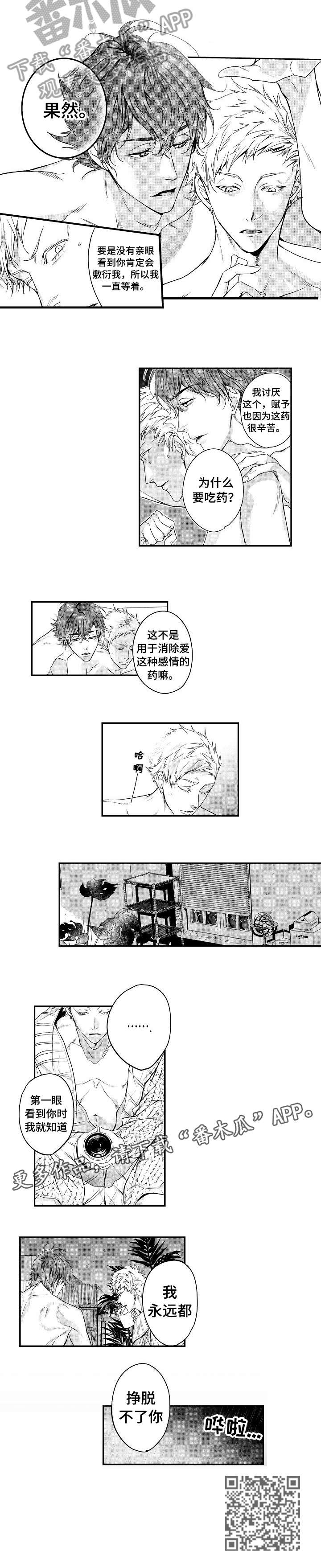 第16章：保护2