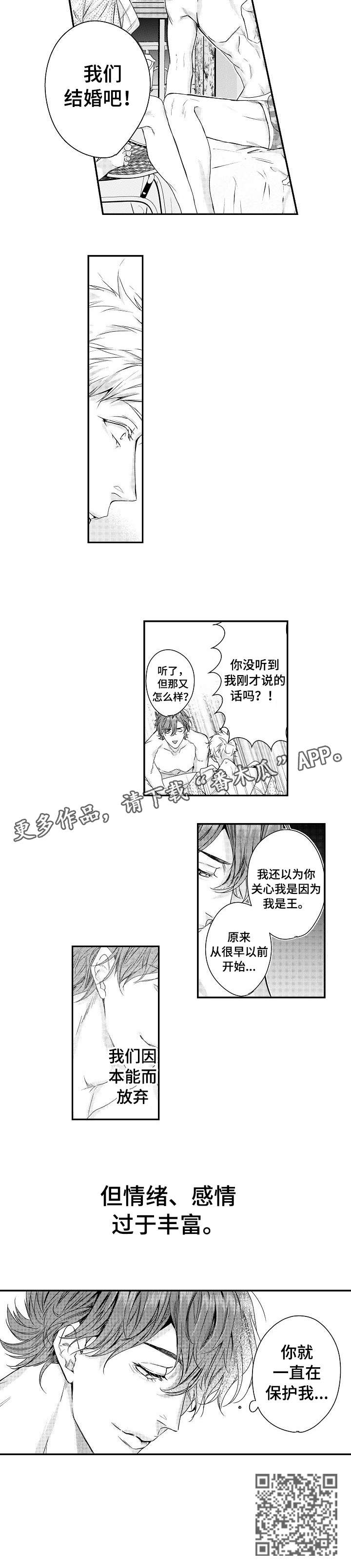 第16章：保护6