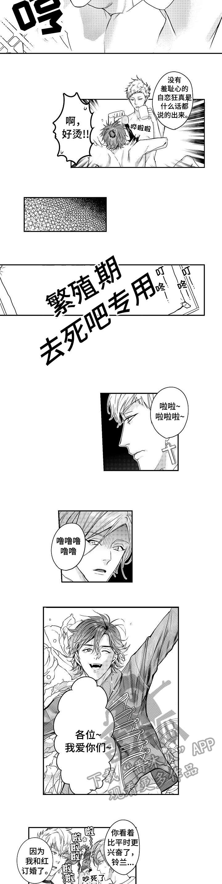 第17章：美妙3