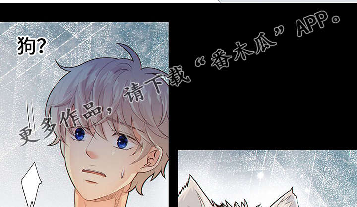第42章：梦话29