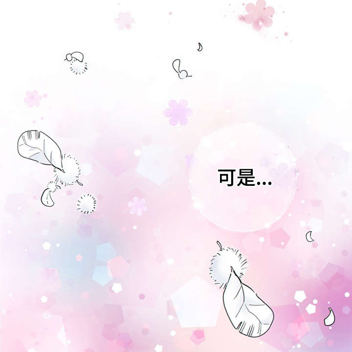 第44章：正确的判断9
