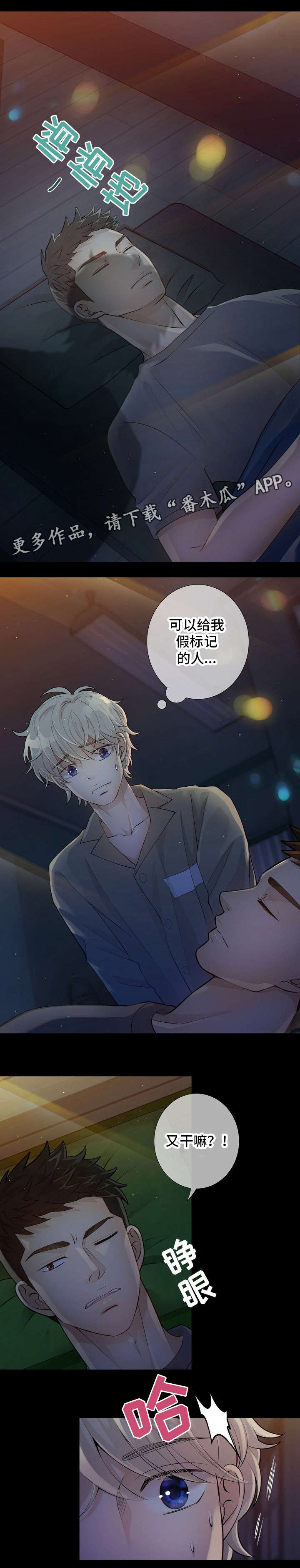 第11章：标记5