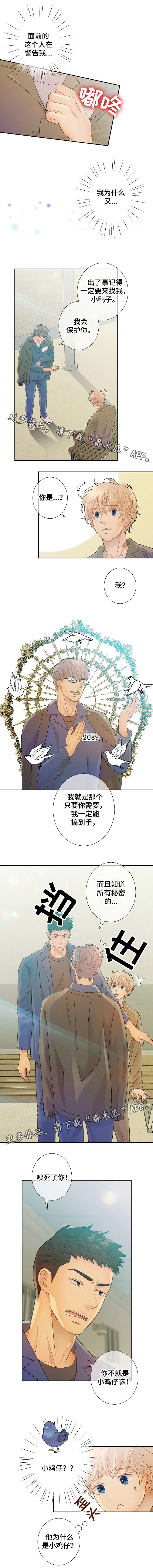 第30章：小鸡仔3