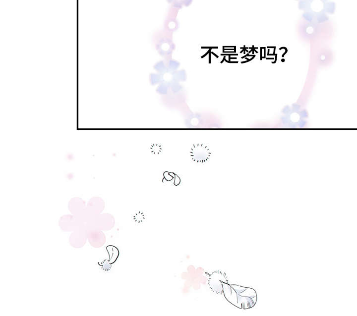 第44章：正确的判断8