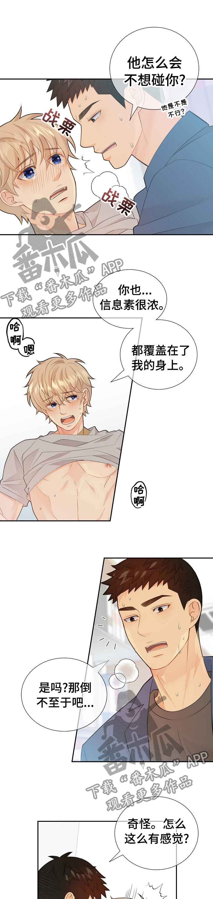第111章：我的光0