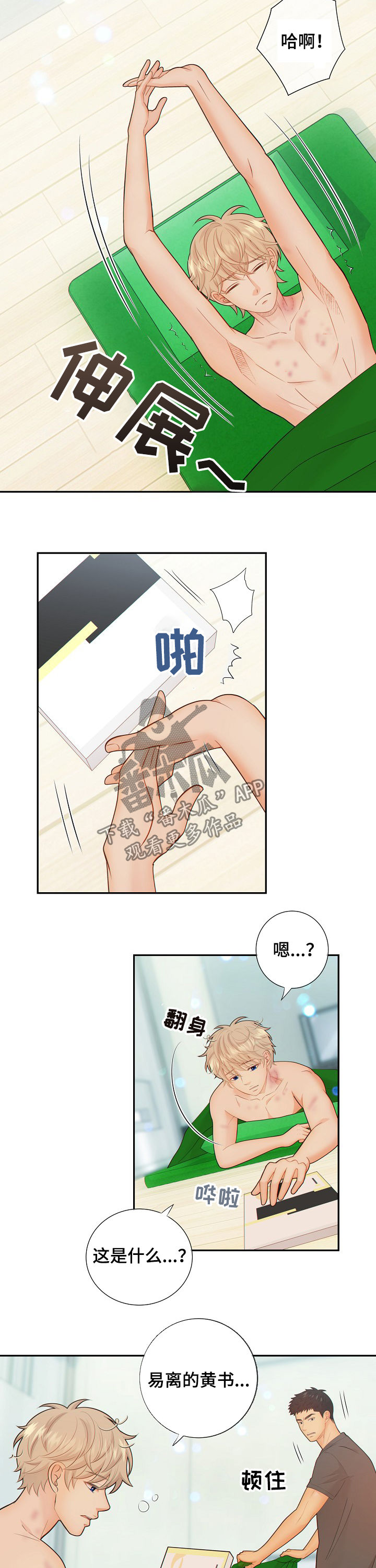 第62章：怀孕1