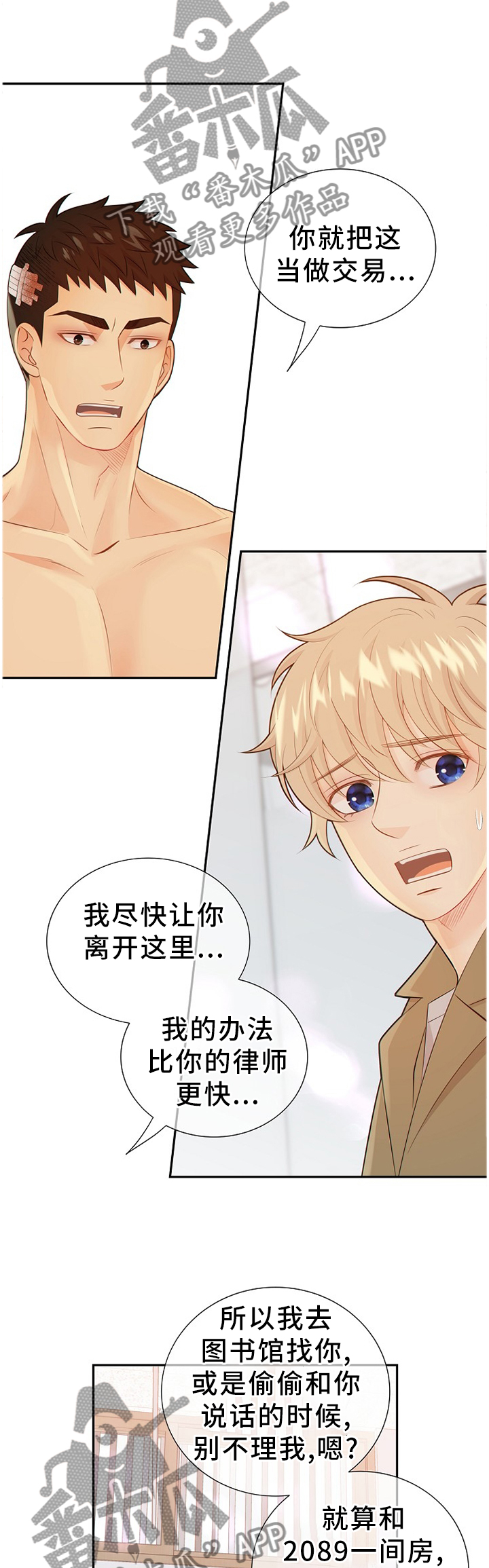 第94章：温暖的梦境11