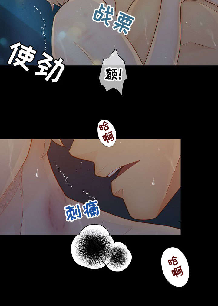 第61章：了解3