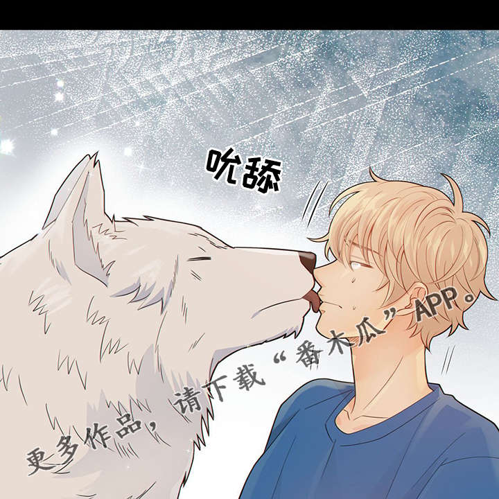 第42章：梦话33