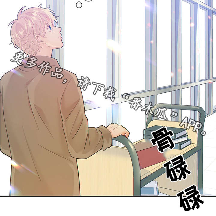 第44章：正确的判断6