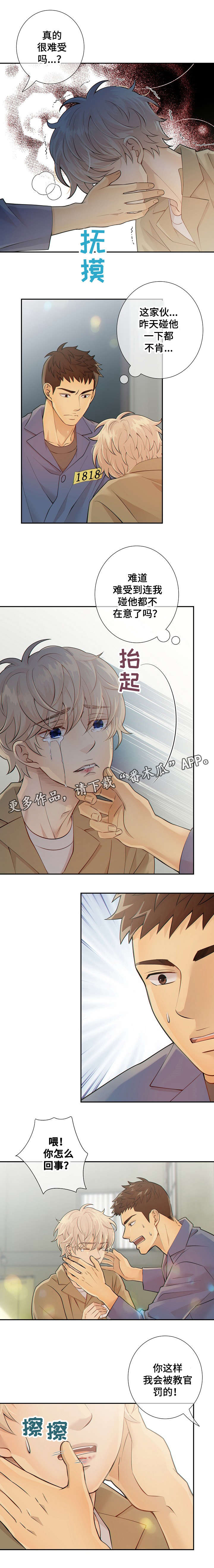 第25章：货色5