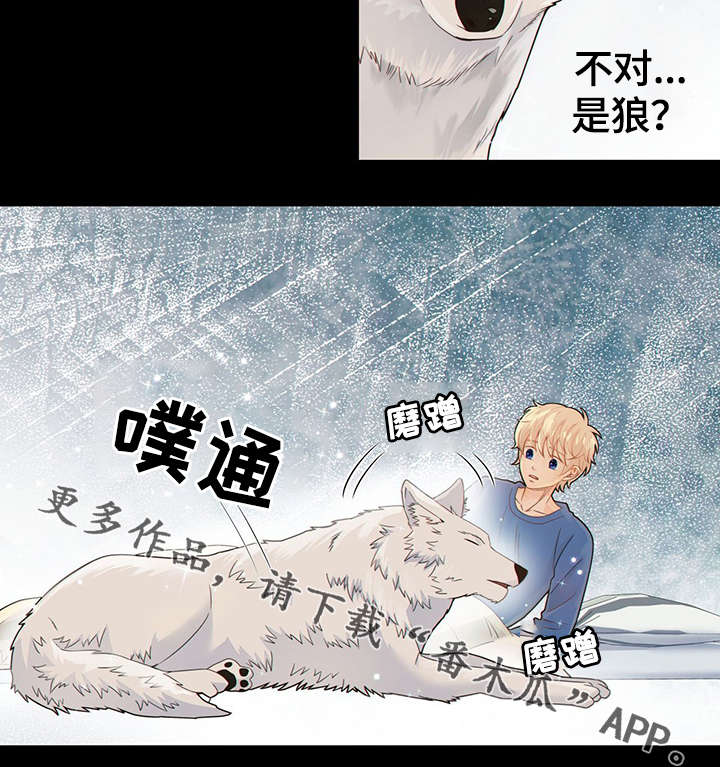 第42章：梦话31