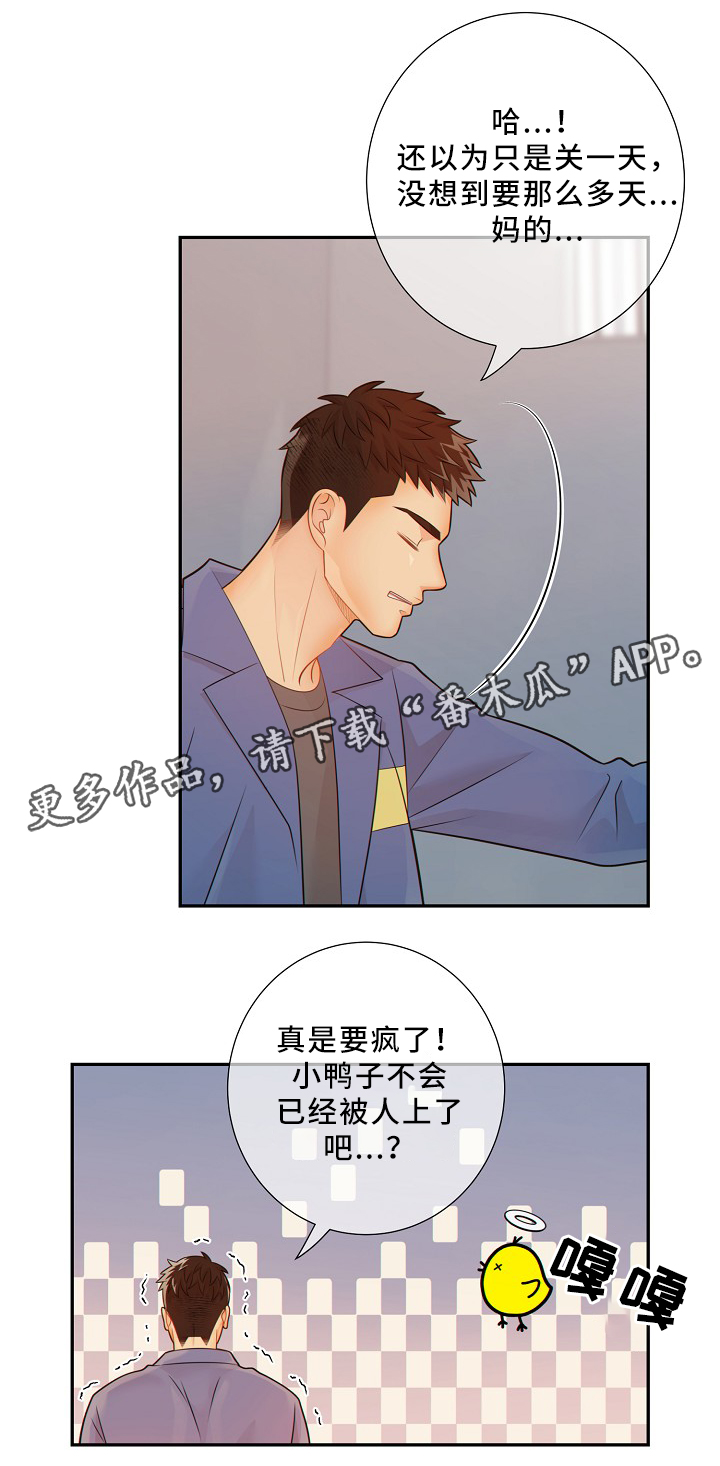 第53章：释放5