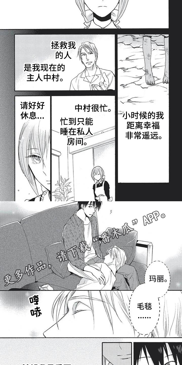 第28章：永远幸福（完）7