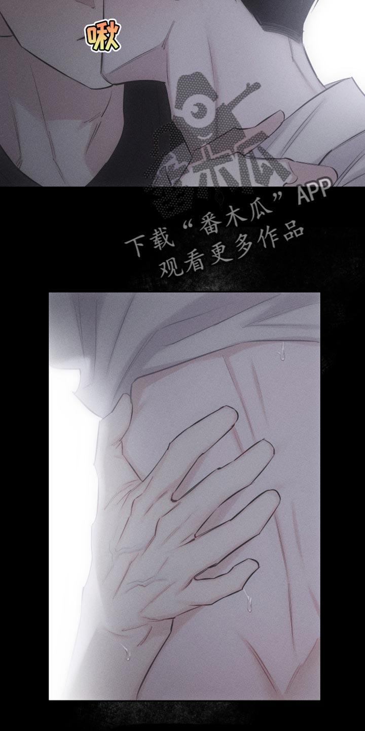 第16章：特殊形态13