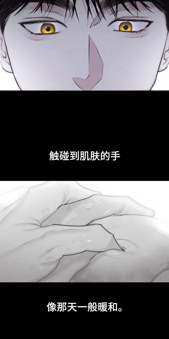 第6章：车里16