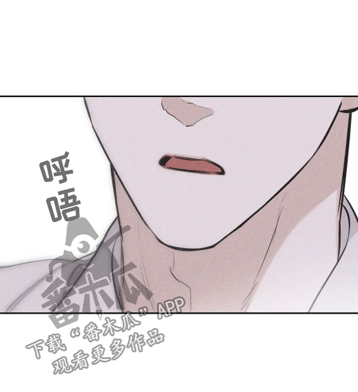 第7章： 作品19