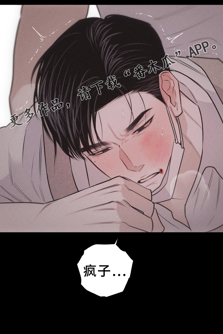 第47章：疯子19