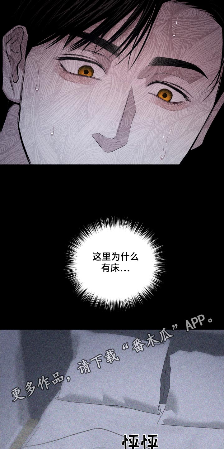 第41章：作品24