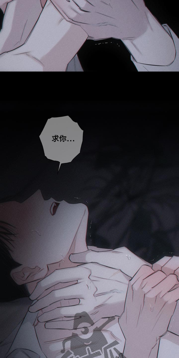 第17章：我更想要15